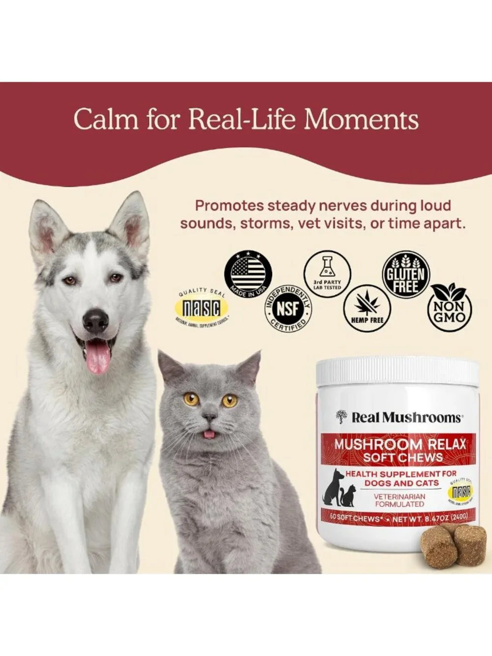 Calming Soft Chews for Dogs & Cats - Reishi & Lion's Mane Treats for Stress